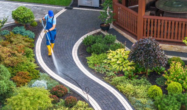Best Power Washing Near Me  in Delhi, LA